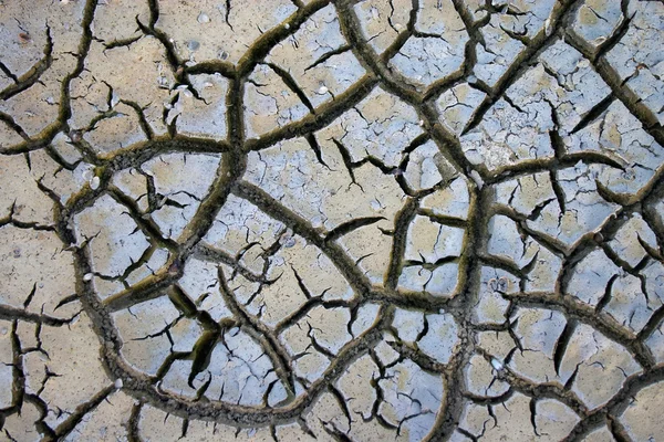 Tierra seca — Foto de Stock