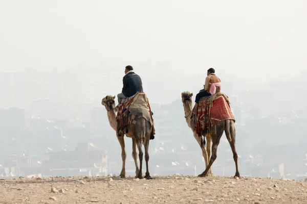 Dos beduinos nómadas en camellos — Foto de Stock