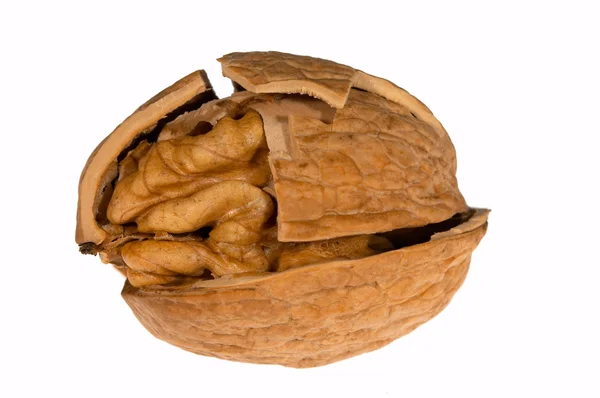 stock image Cracked walnut