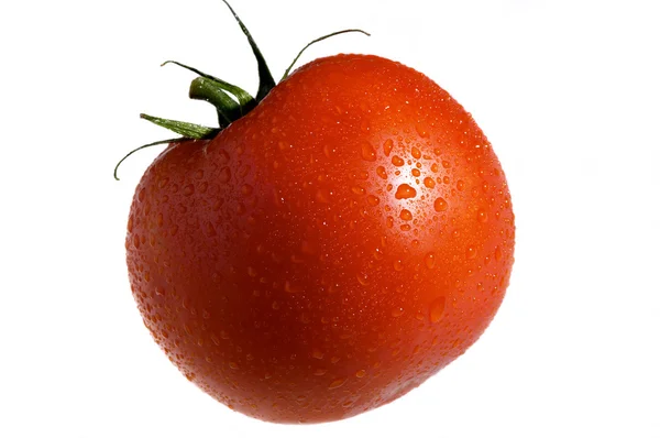 Legumbre de tomate — Foto de Stock
