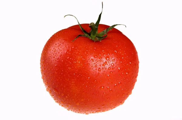 녹색 잎 자루와 빨간 토마토 — 스톡 사진