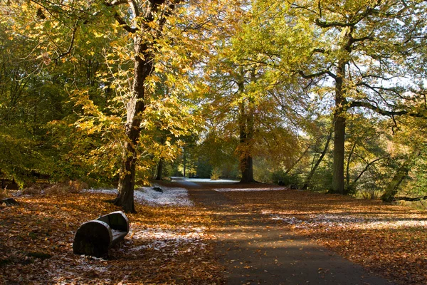 秋天的公园风景 — 图库照片
