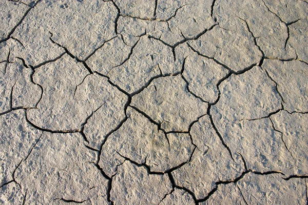 Parched crannied earth — Stock Photo, Image