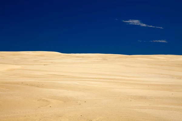 Dry desert — Stock Photo, Image