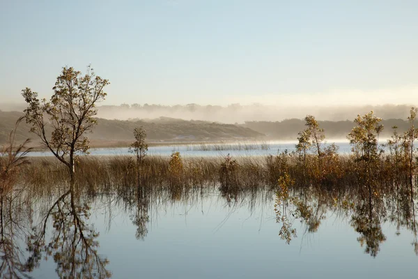 Lac avec brouillard matinal — Photo