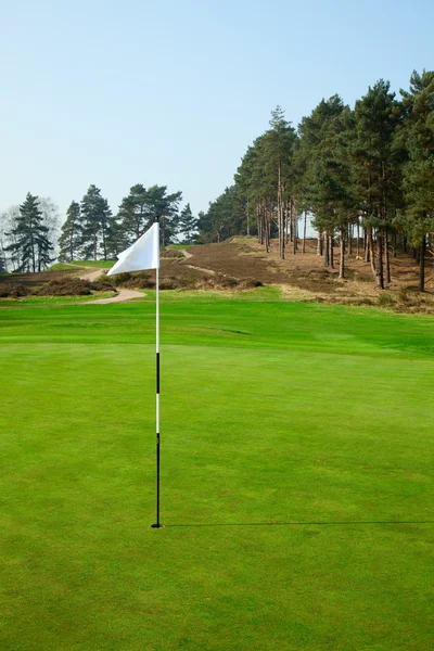 Flagga på golf fält — Stockfoto