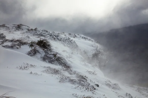 Bouřka v horách Tasmánský — Stock fotografie