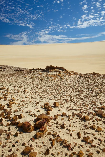 Stenen in woestijn — Stockfoto