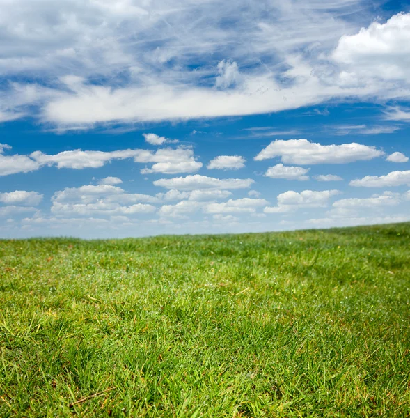 Πράσινο γρασίδι και μπλε ουρανός — Φωτογραφία Αρχείου