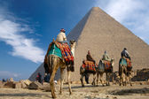 Beduíni na velblouda poblíž egypt pyramida