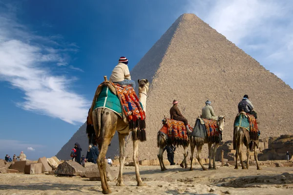 Beduino sul cammello vicino alla piramide di egida — Foto Stock