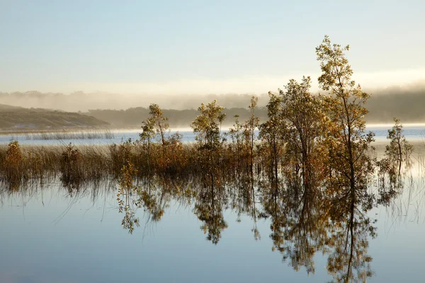湖の上の朝の霧 — ストック写真