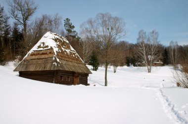 Winter countryside scenic