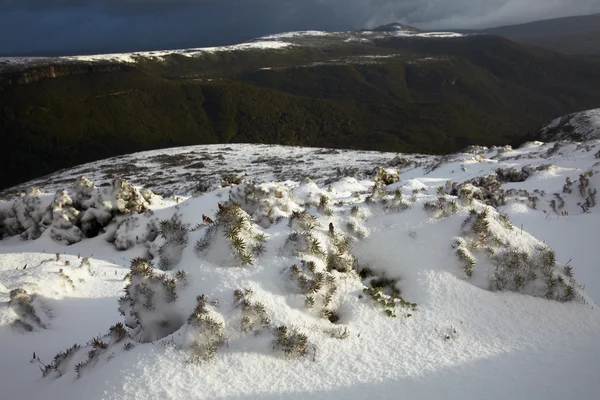 Vinter på Tasmanien island — Stockfoto