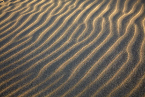 Textura undulante em uma areia — Fotografia de Stock