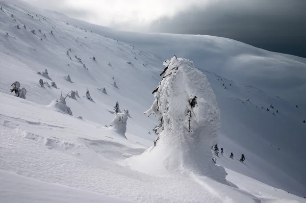 Sert kış manzarası — Stok fotoğraf