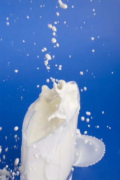 Salpicadura de leche. —  Fotos de Stock