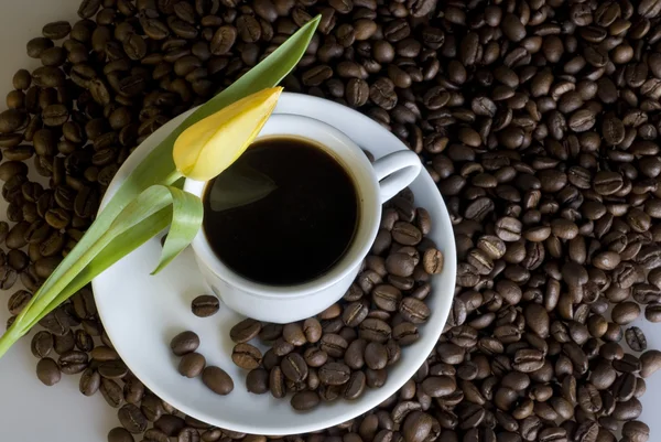 Kávé- és a sárga tulipán — Stock Fotó