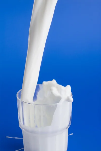 Milch gießen — Stockfoto
