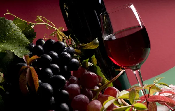 Rode wijn en druivenmost close-up — Stockfoto