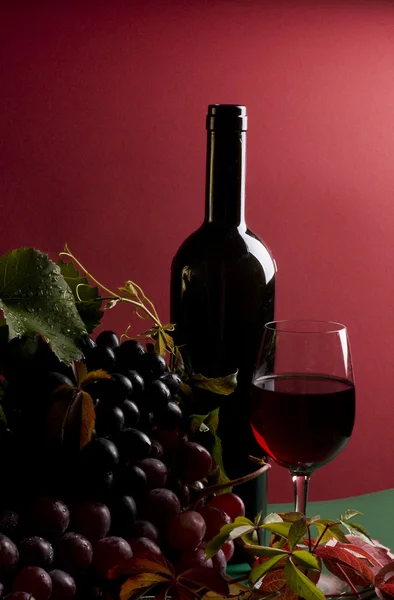 Kırmızı şarap ve üzüm yakın çekim — Stok fotoğraf