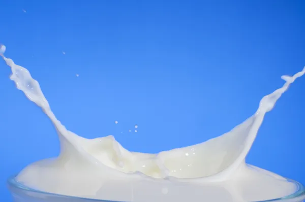 Salpicos de leite close-up — Fotografia de Stock