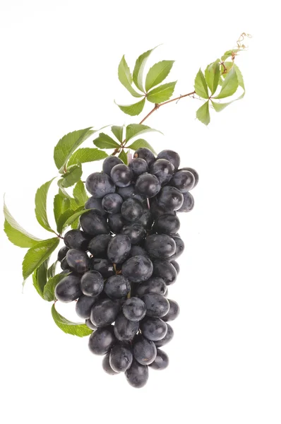 Cibo d'uva sopra bianco — Foto Stock