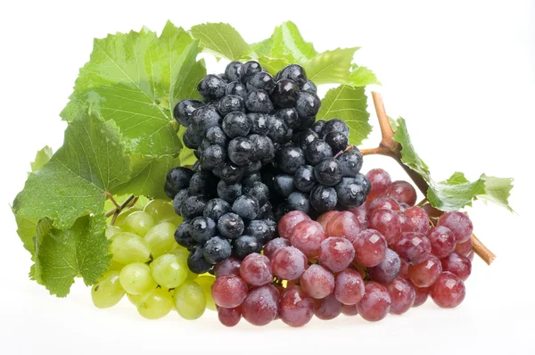Виноградна їжа над білим — стокове фото