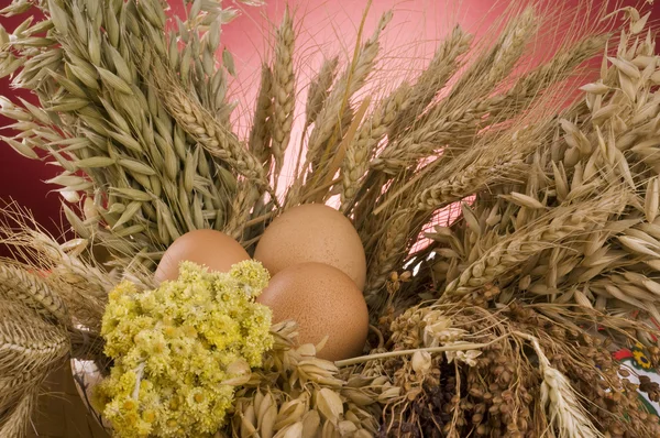 Three brown eggs — Stock Photo, Image