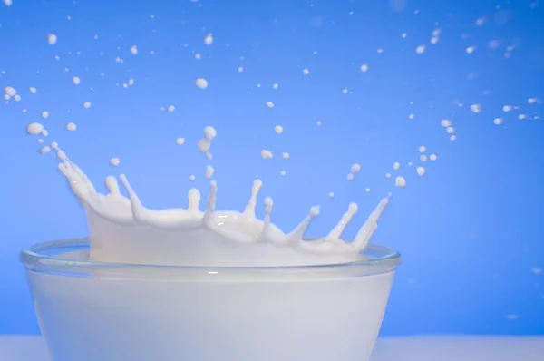 Всплеск молока крупным планом — стоковое фото