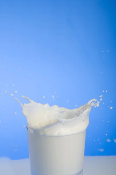 Šplouchnutí mléka — Stock fotografie