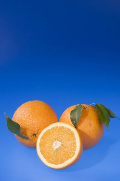 Nourriture orange sur bleu — Photo