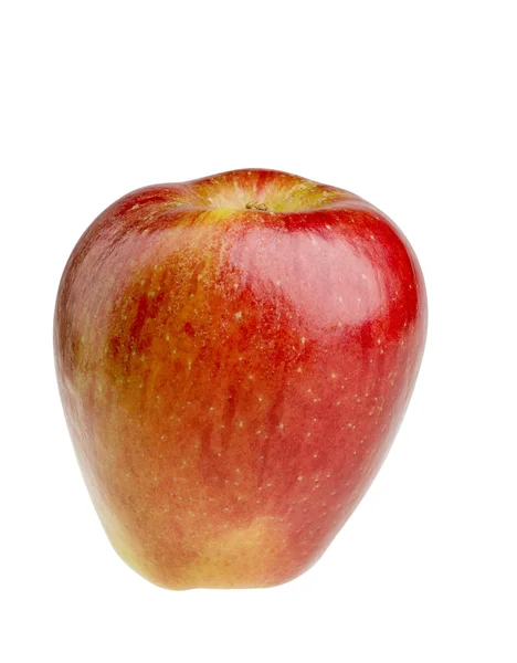 Čerstvé červené zralé jablko — Stock fotografie