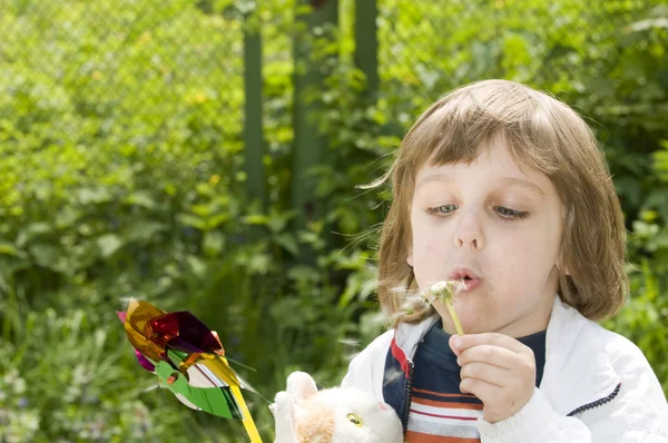 Beautiful child boy blowing to flower — Stock Photo, Image