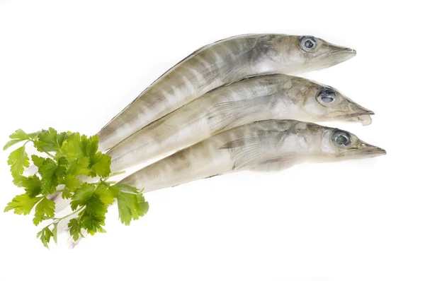 Морская еда; рыба — стоковое фото