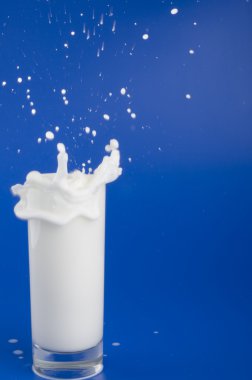 Milk splash clipart