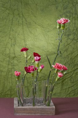 Spring carnation in a test-tube clipart