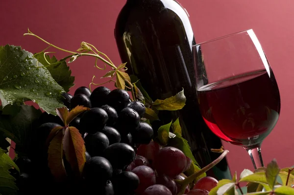 Rött vin och druvsaft närbild — Stockfoto