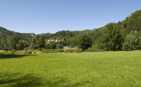 stock image Summer sunny landscape