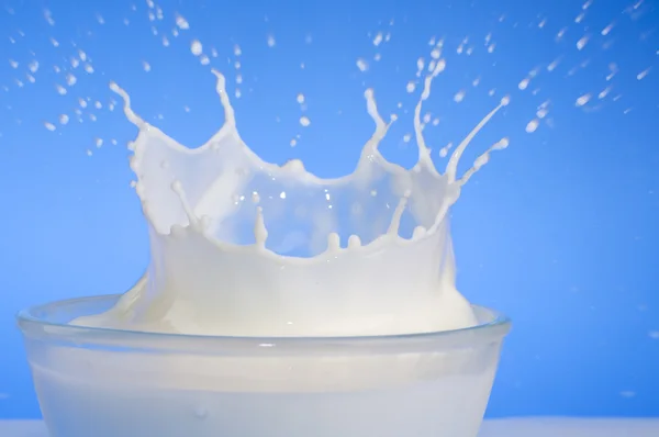 Milk splash close-up — Stock Photo, Image