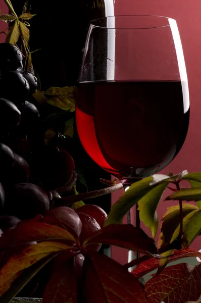 Красное вино и виноград крупным планом — стоковое фото