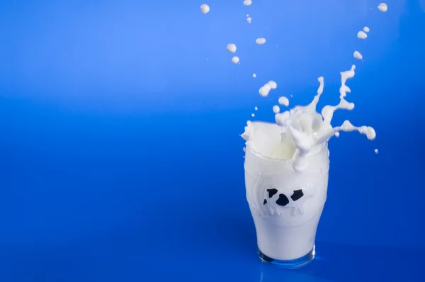 Splash of milk with drops over blue. — Stock Photo, Image