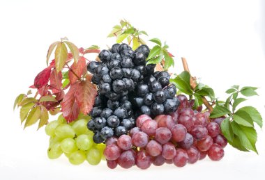 Grape food over white clipart