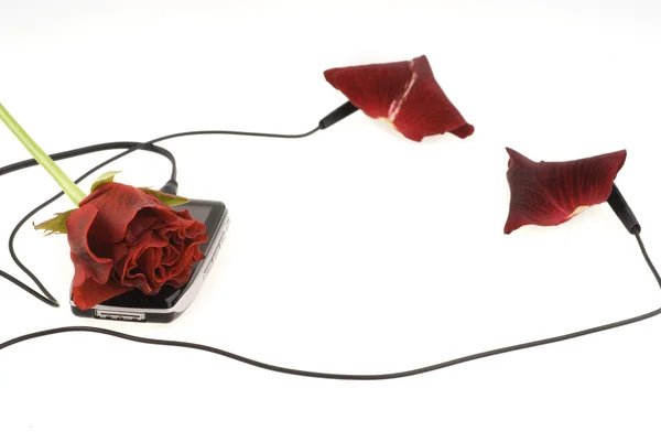 Beautiful rose and music player — Stock Photo, Image