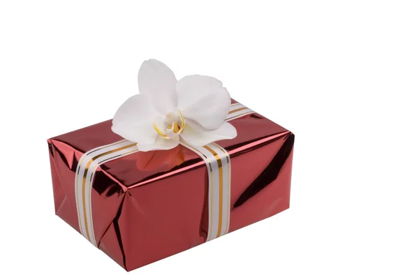 Red gift box with white orchid. — Stock Photo, Image