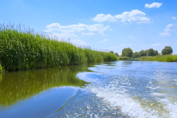 Sommerlandschaft mit Fluss. — Stockfoto