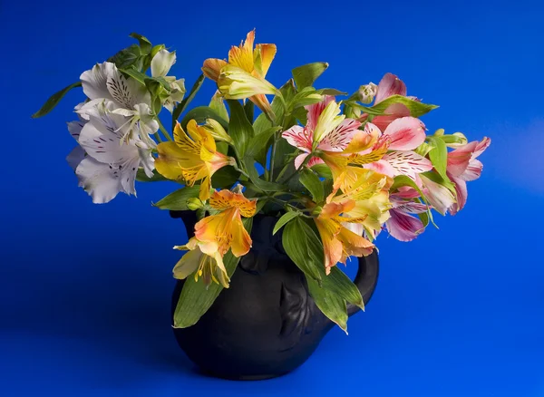 Wild orchides in a black jug — Stock Photo, Image