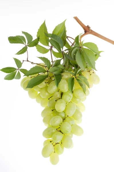 Um monte de uva verde sobre branco — Fotografia de Stock