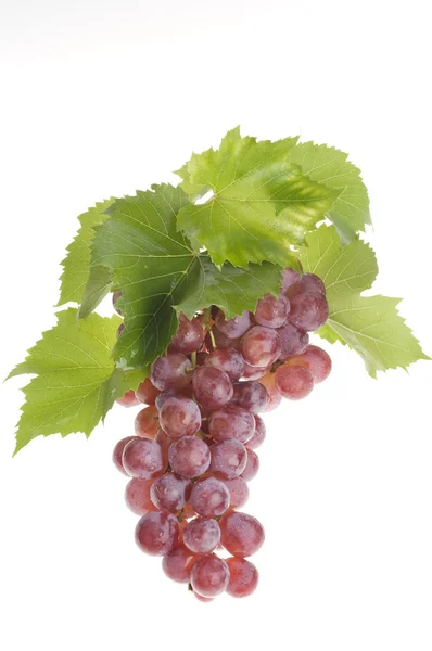 Виноградна їжа над білим — стокове фото