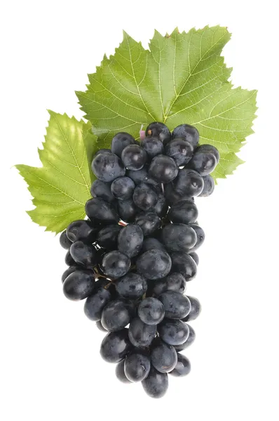 Grape food over white — Stock Photo, Image